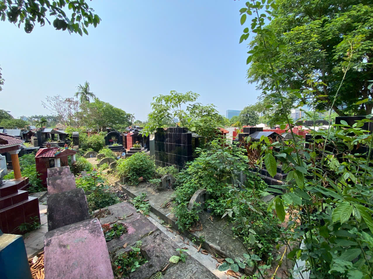 Nghia trang co nhue 2