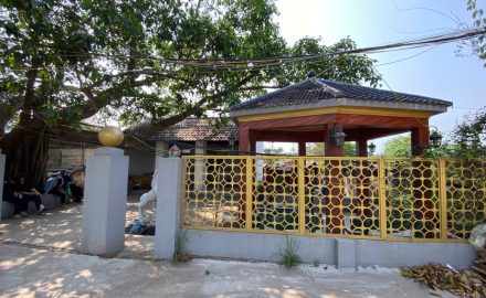 Nghia trang co nhue 3