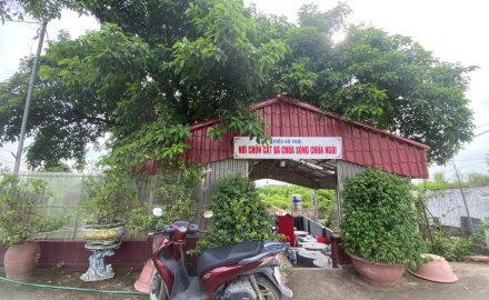 Mieu co troi