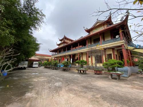 Vuon-chua-lanh-than-tam-ong-but-17