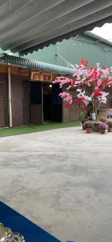 Vuon-chua-lanh-than-tam-ong-but-9